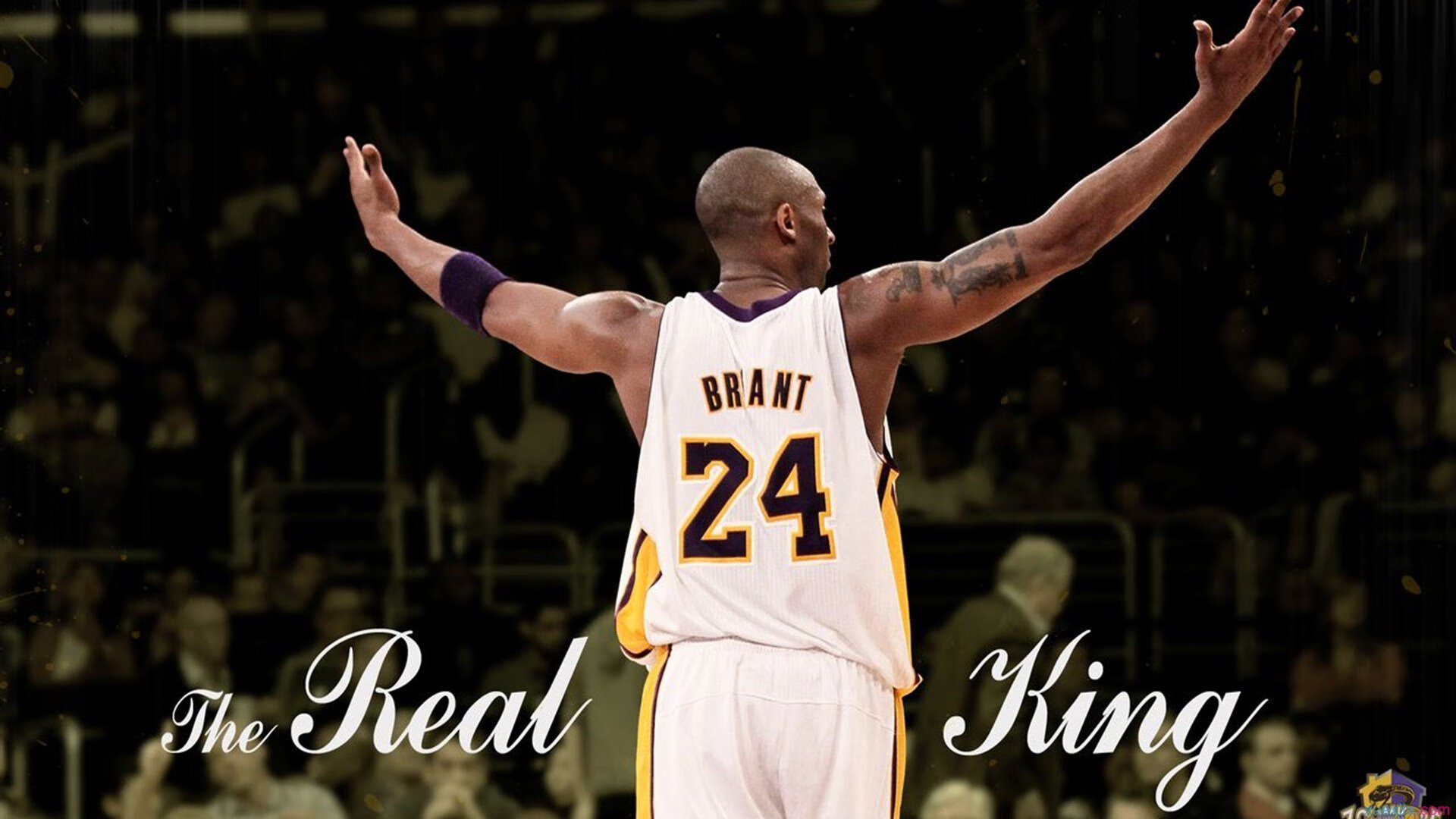 年度焦点之战之夜,当伊布在火焰中刻下不朽